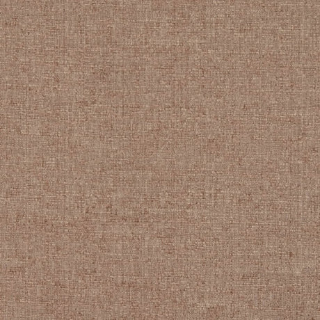 Eade's RMCoco-11206801-sample Bronze