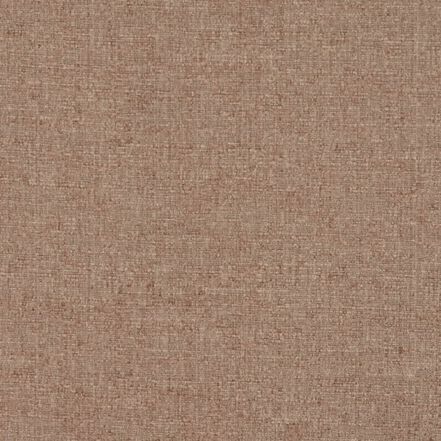 Eade's RMCoco-11206801-sample Bronze