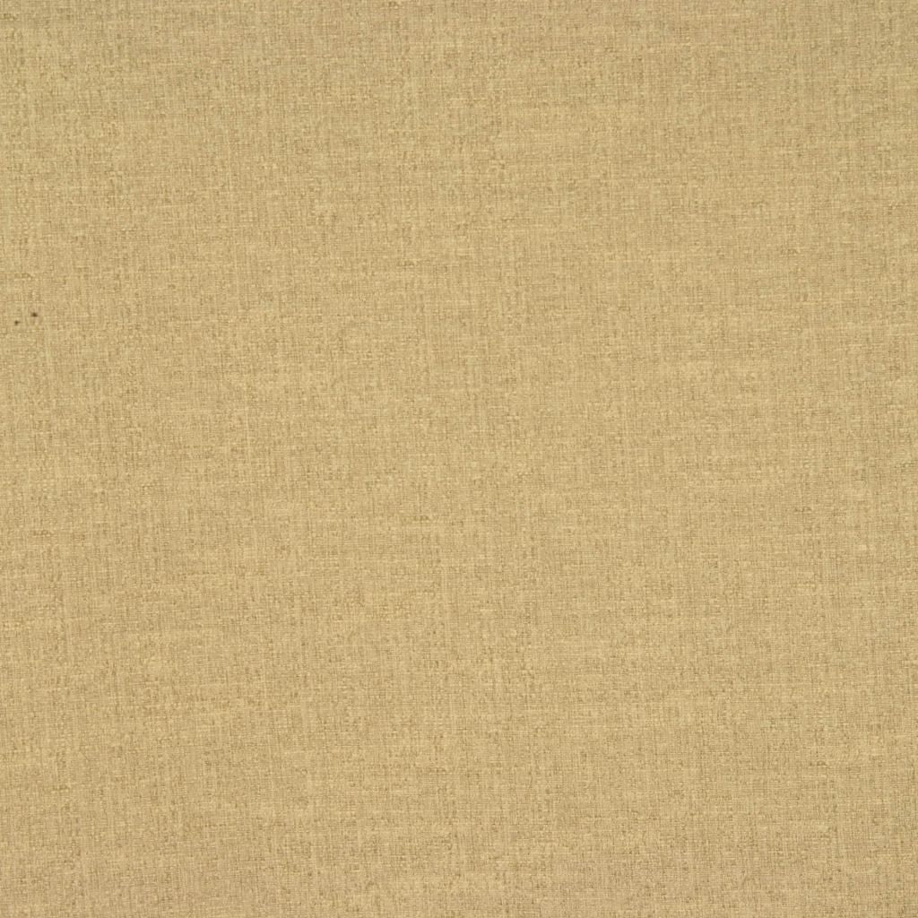 Eade's RMCoco-11206417-sample Fern