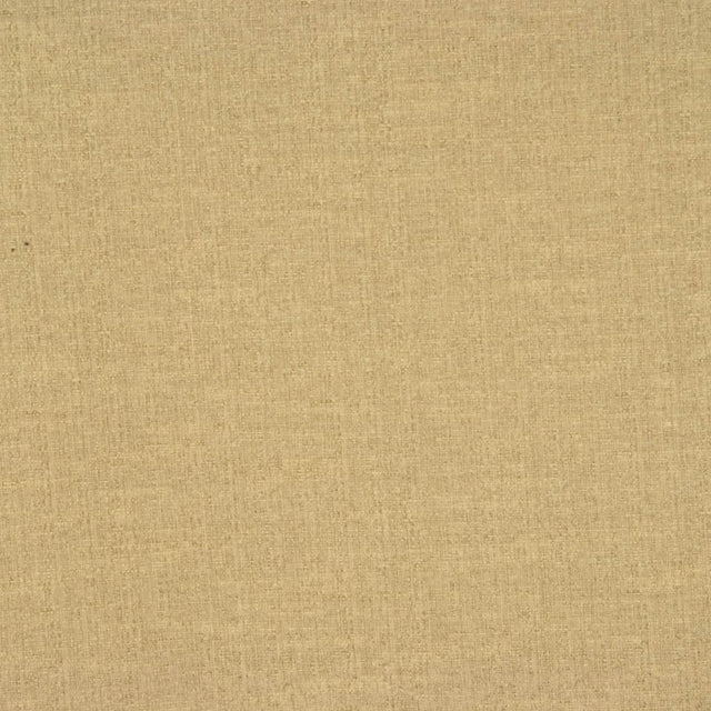 Eade's RMCoco-11206417-sample Fern