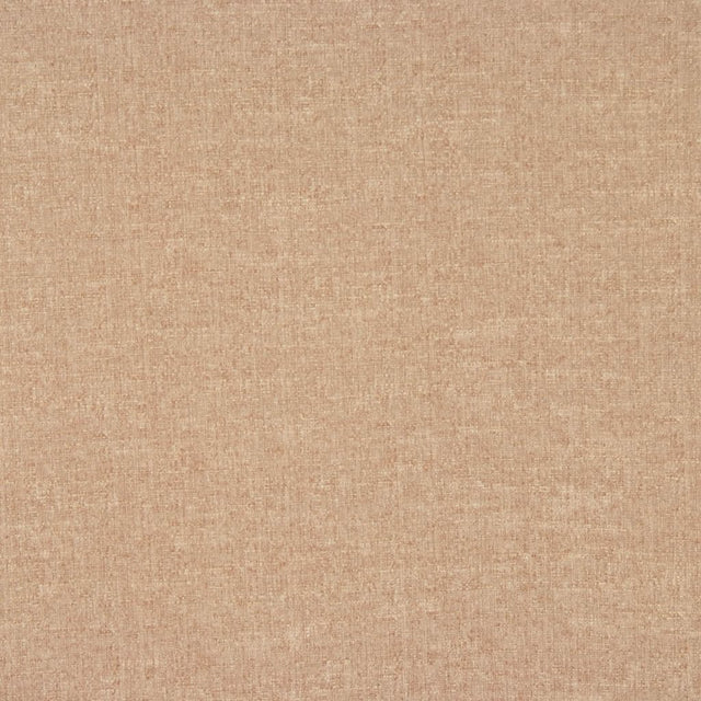 Eade's RMCoco-11206696-sample Chinchilla