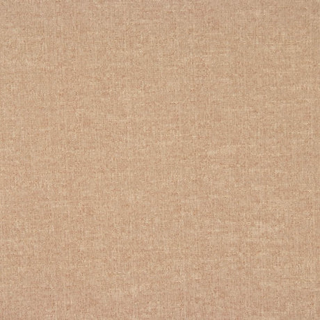 Eade's RMCoco-12014696-sample CHINCHILLA