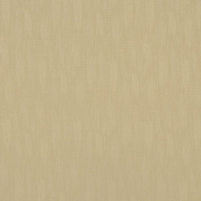 Eade's RMCoco-11222913-sample BEACH