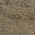 Eade's RMCoco-10825481-sample DOVE