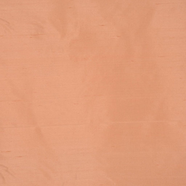 Eade's RMCoco-10753009-sample CAMEL