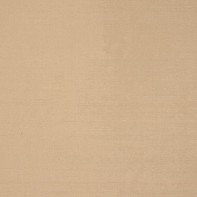 Eade's RMCoco-10753212-sample MUSHROOM