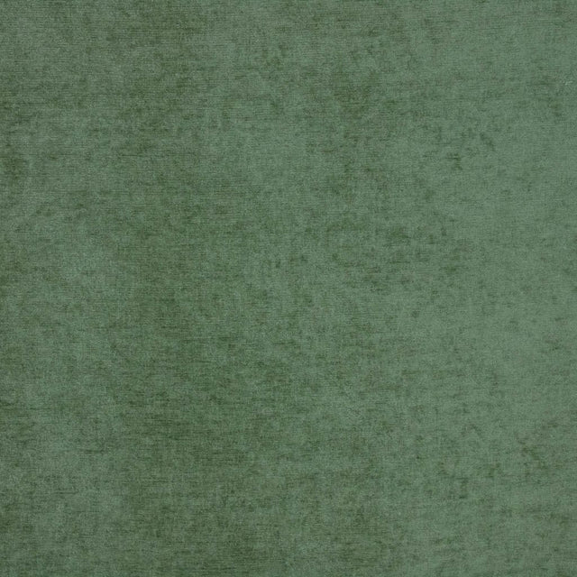 Eade's RMCoco-10825286-sample ALOE