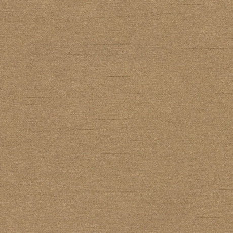 Eade's RMCoco-12369210-sample MUSHROOM