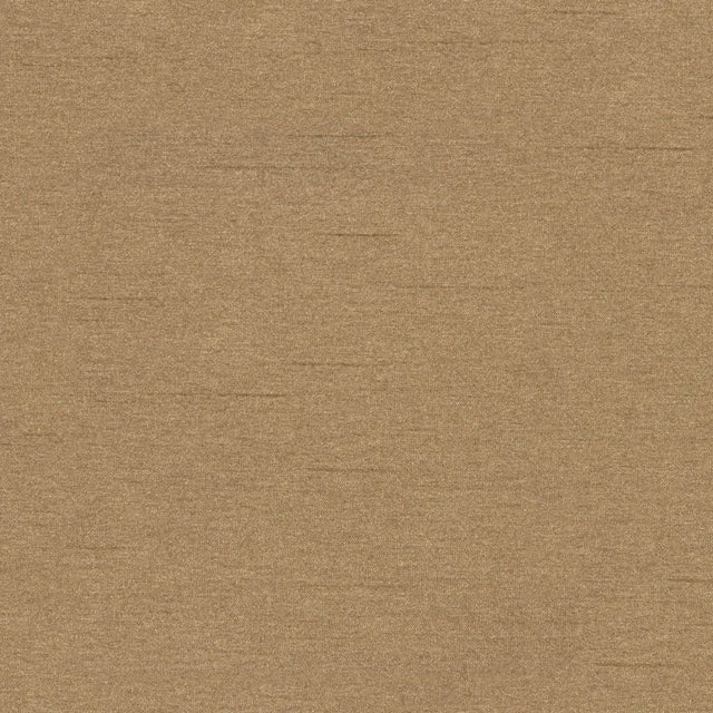 Eade's RMCoco-11668210-sample Mushroom