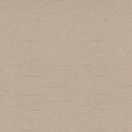 Eade's RMCoco-11127934-sample Owl