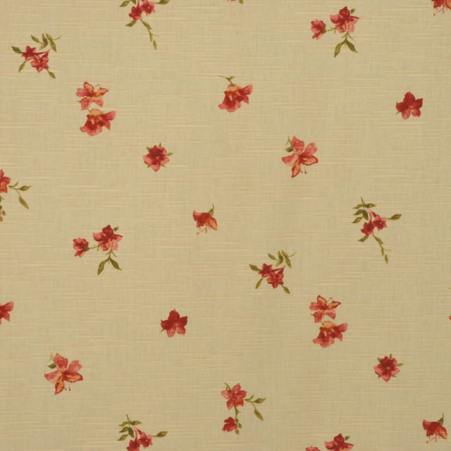 Eade's RMCoco-Q180351-sample 351