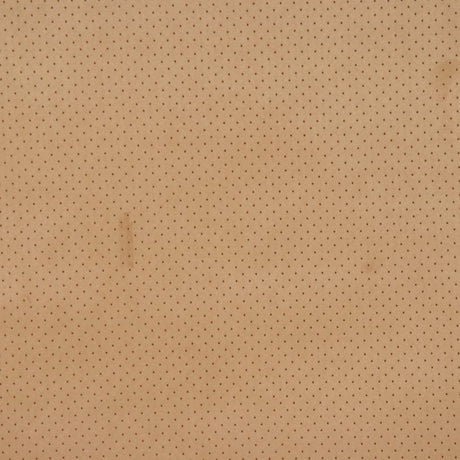 Eade's RMCoco-1022CB207-sample CAMEL