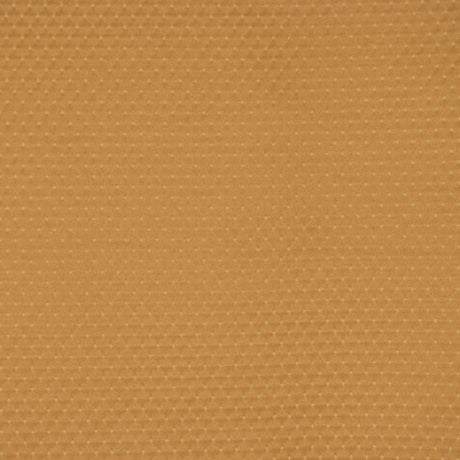 RM Coco 1101CB HONEY BIRD - Eade's