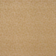 RM Coco S876 868 - Eade's