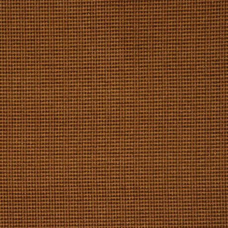 Eade's RMCoco-1301CB1009-sample LICHEN