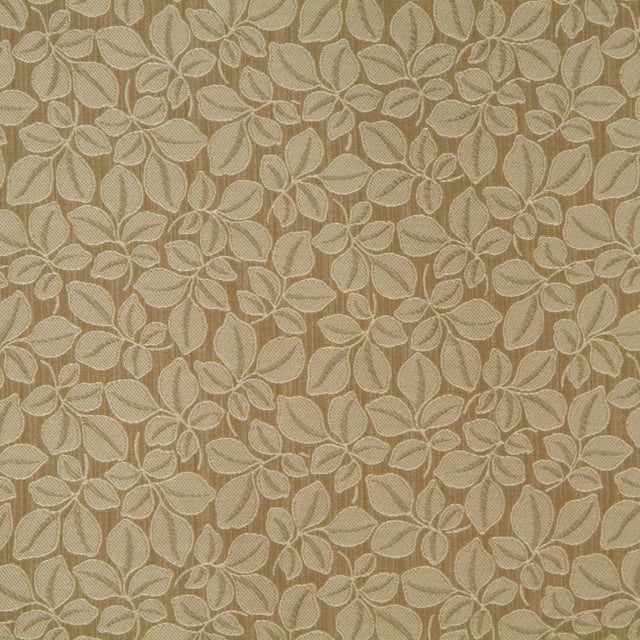 RM Coco W0861 533 - Eade's