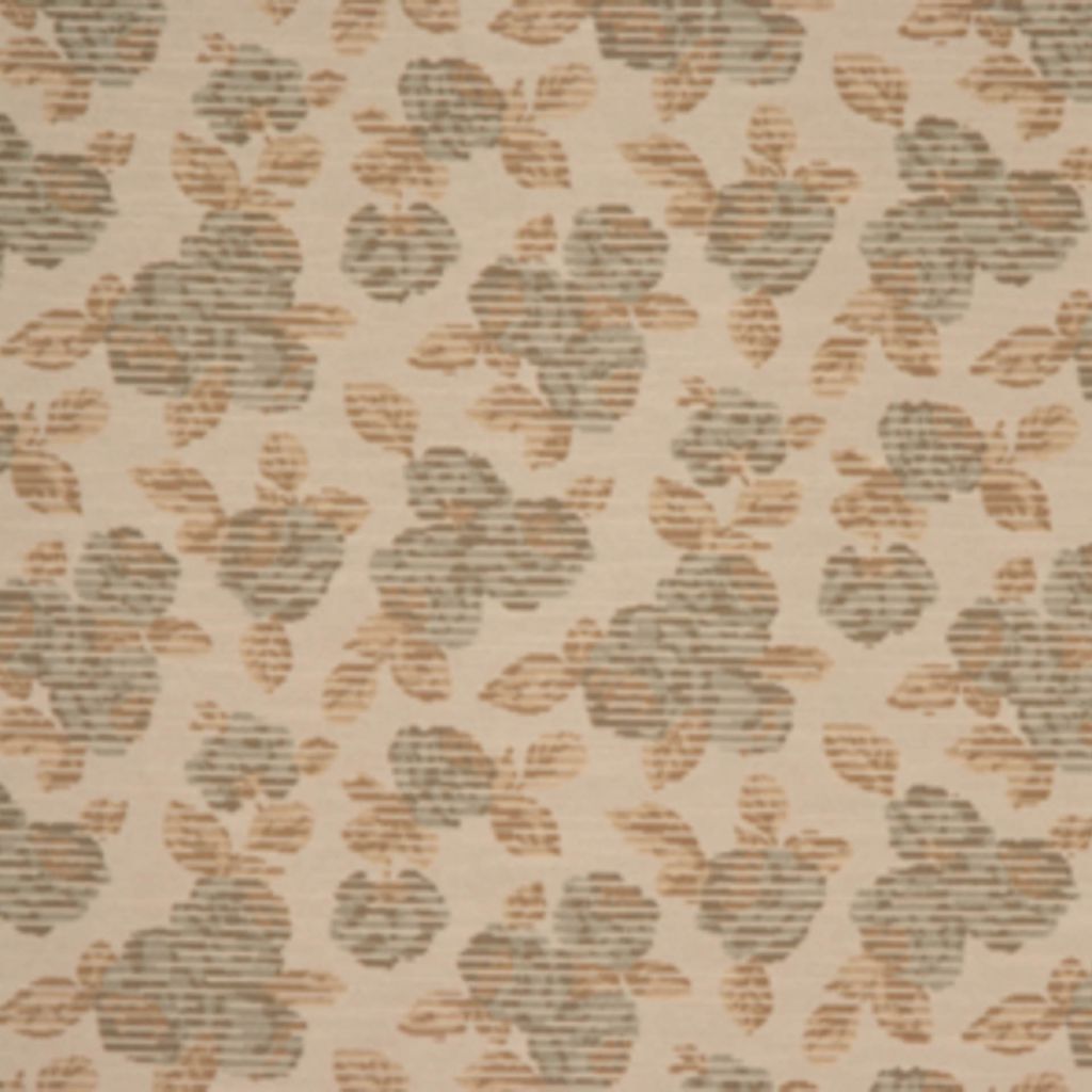 RM Coco W0885 1 - Eade's