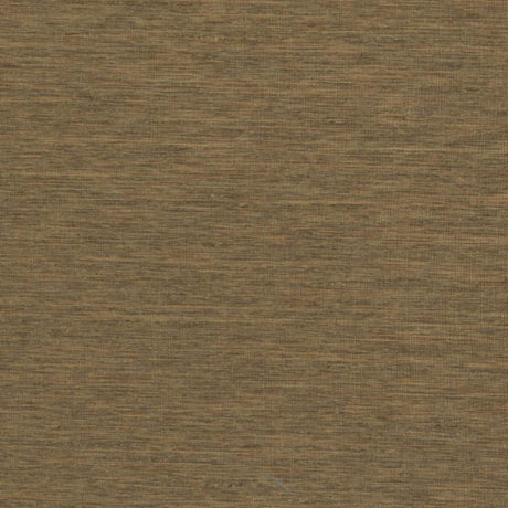 RM Coco STARLIGHT Element - Eade's