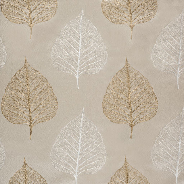 Eade's RMCoco-PR000125-sample Soft Glow