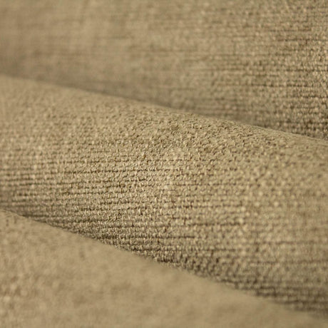 Eade's RMCoco-13718121-sample Spanish Moss