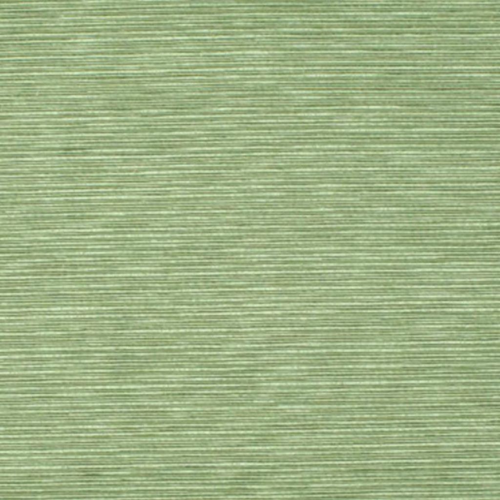 Eade's RMCoco-59322315-sample Kiwi