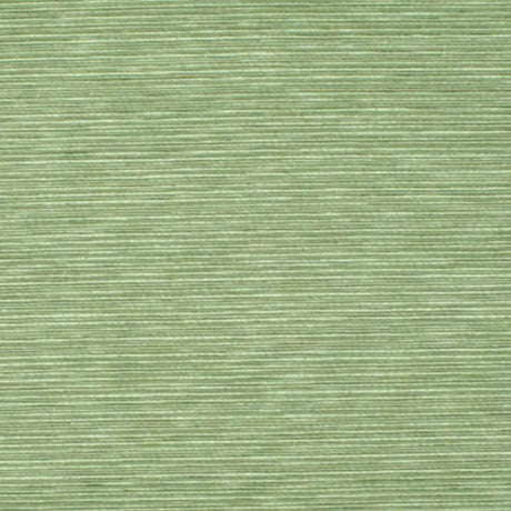 Eade's RMCoco-59322315-sample Kiwi