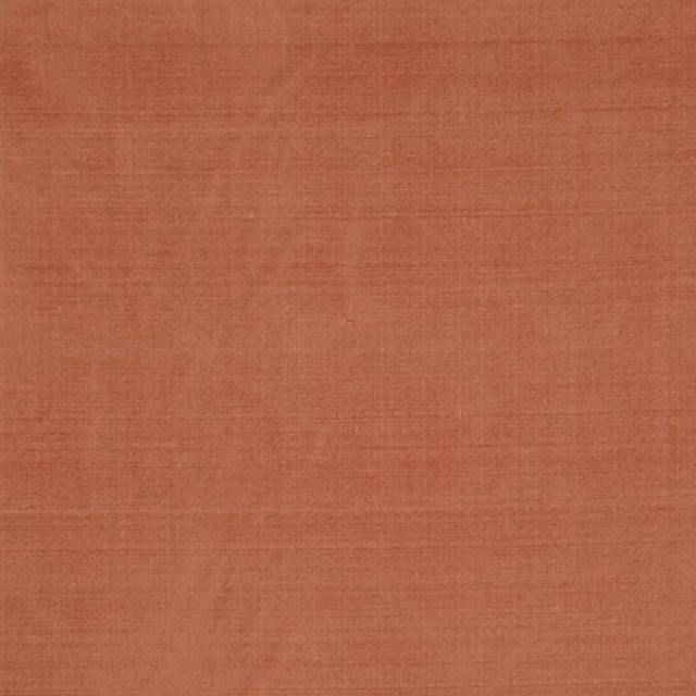 Eade's RMCoco-11584122-sample Glow