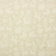 RM Coco Pinata Cotton - Eade's