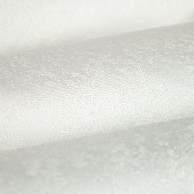 Eade's RMCoco-1368711-sample Snow