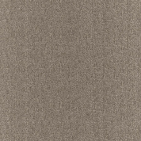 Eade's RMCoco-132083-sample Fossil
