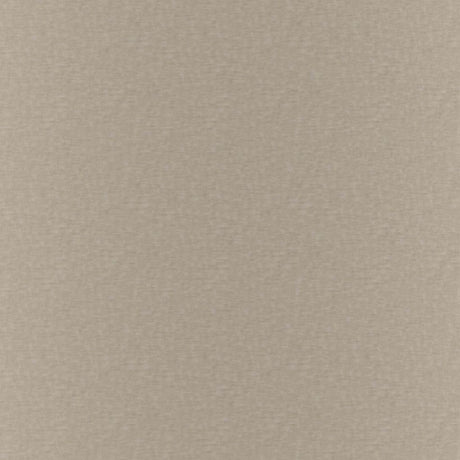 Eade's RMCoco-1366412-sample Fossil