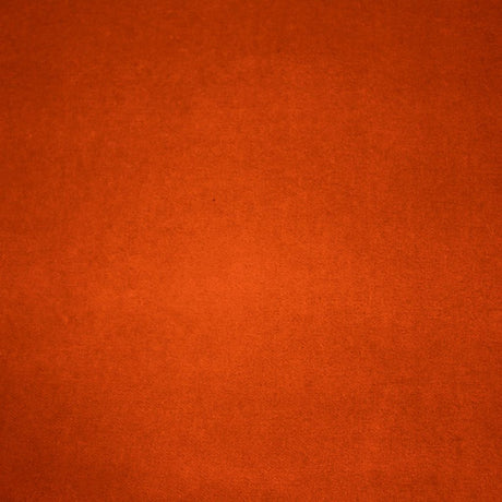 Eade's RMCoco-11982189-sample Shrimp