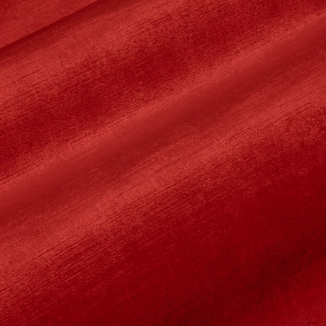 Eade's RMCoco-13727558-sample Camelia