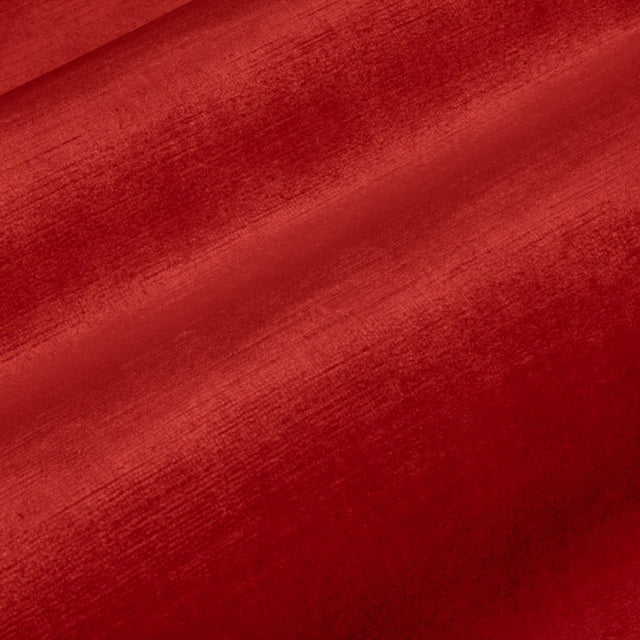 Eade's RMCoco-13727558-sample Camelia