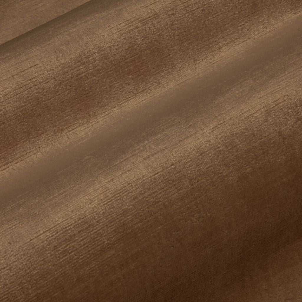 Eade's RMCoco-13727210-sample Mushroom