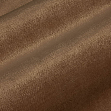 Eade's RMCoco-13727210-sample Mushroom