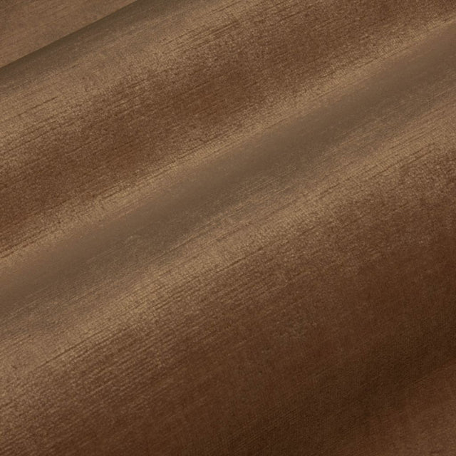 Eade's RMCoco-13727210-sample Mushroom