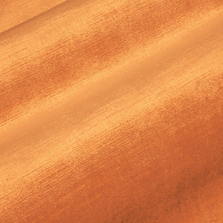 Eade's RMCoco-13727185-sample Tiger's Eye