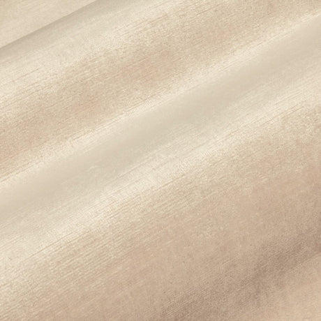 Eade's RMCoco-1372724-sample Birch