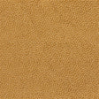 Eade's RMCoco-12938278-sample Ochre