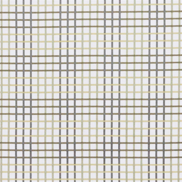 Eade's RMCoco-12885287-sample Sand Dollar