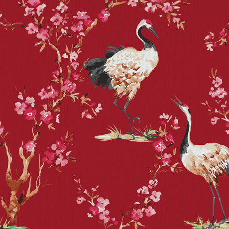 Eade's RMCoco-CW109514-sample Maraschino