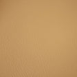 Eade's RMCoco-13771131-sample Cilantro