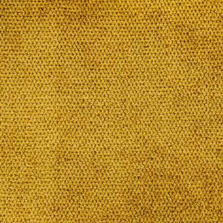 RM Coco Ascot Forsythia - Eade's
