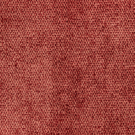 RM Coco Ascot Mimosa - Eade's