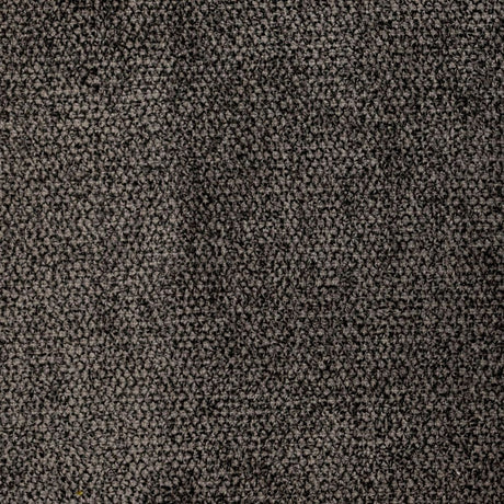 RM Coco Ascot Haze - Eade's