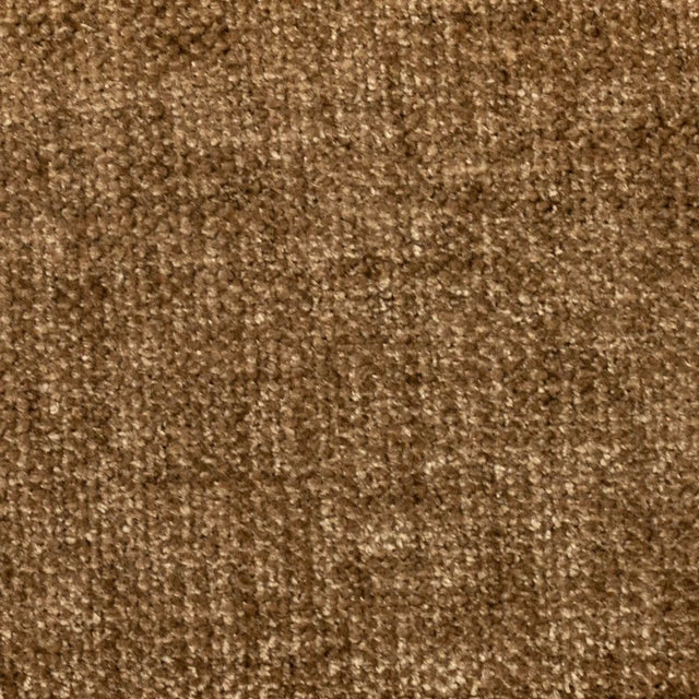 Eade's RMCoco-131983-sample Chamois