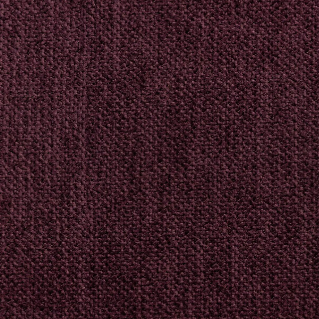 Eade's RMCoco-1280870-sample African Violet