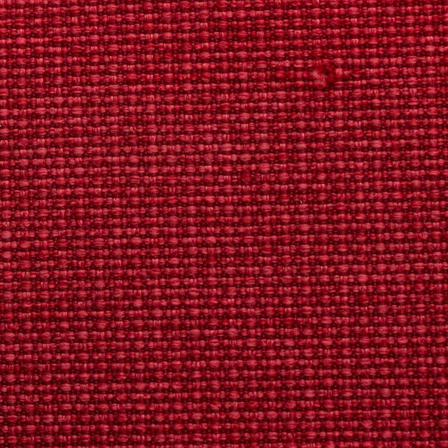 Eade's RMCoco-1280754-sample Begonia