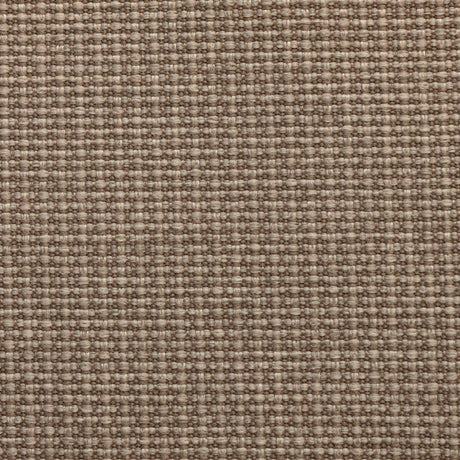 Eade's RMCoco-1280735-sample Spanish Moss